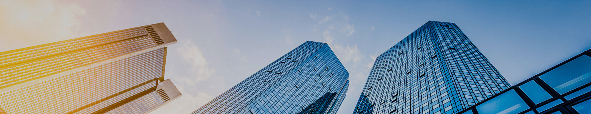 世界杯投注网站